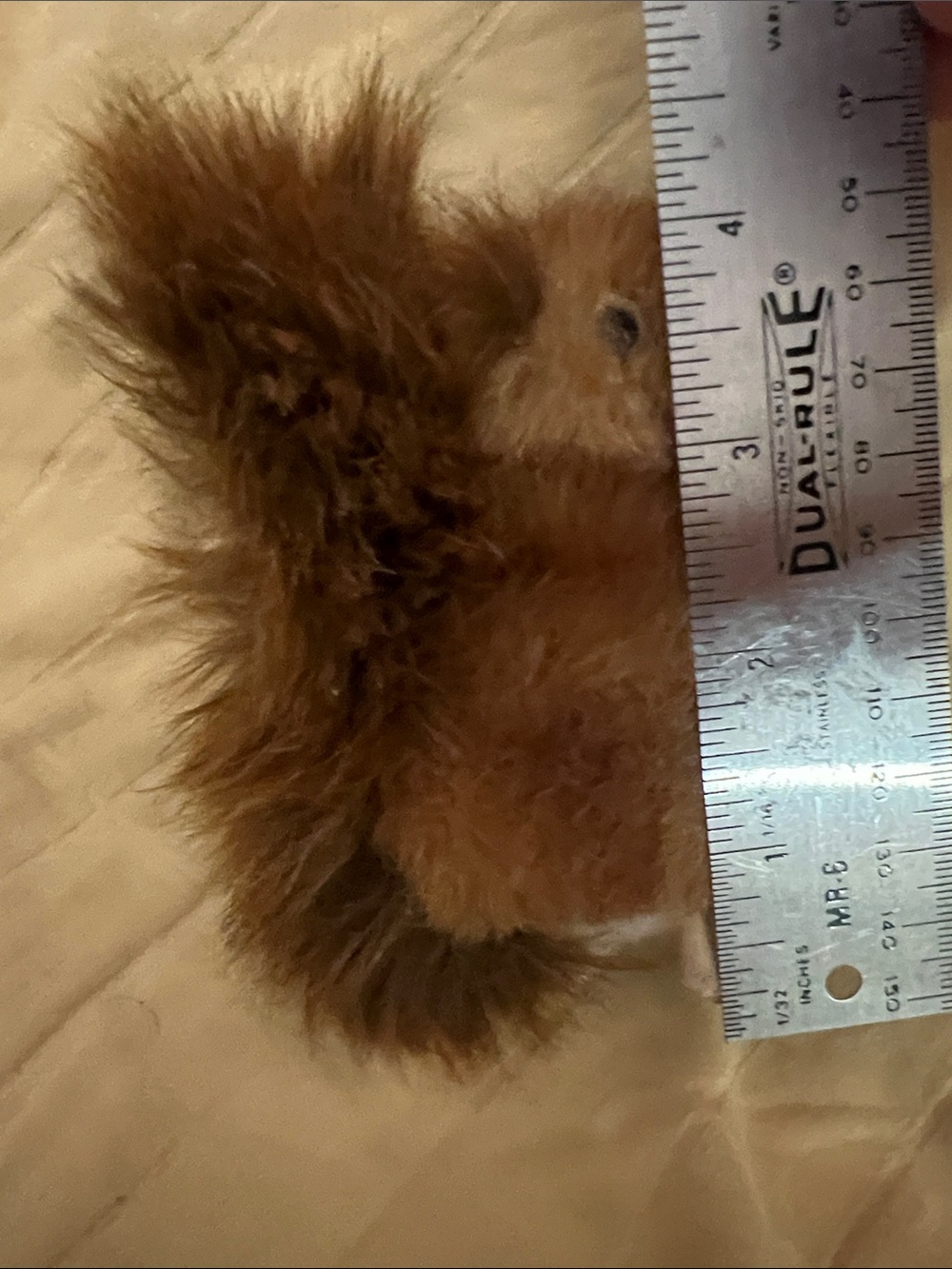 Steiff Squirrel - Picture 3 of 14